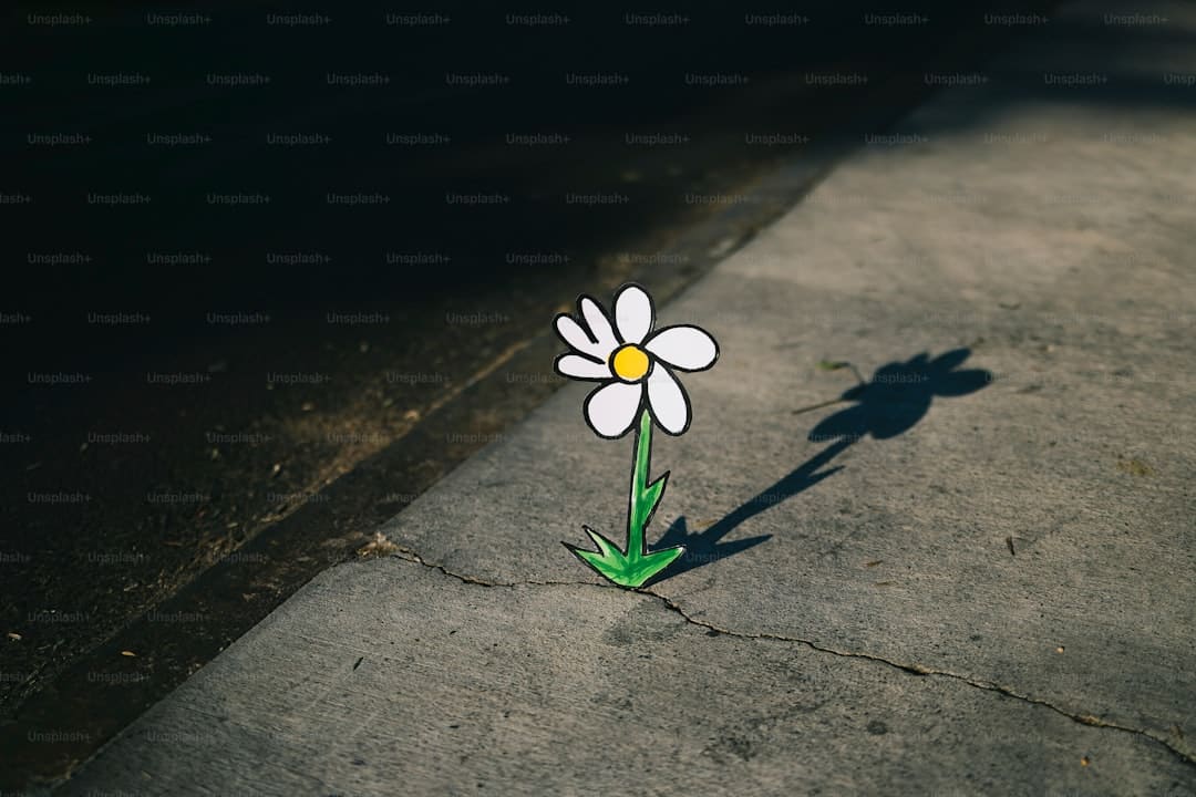 螃蟹运输能活多久
